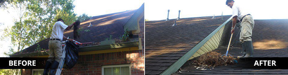 Roof Cleaning Near Me Tacoma